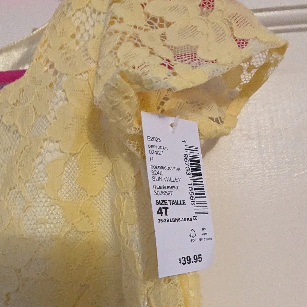 Children's Place Lace Toddler Girl Dress NWT